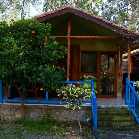אתר נופש Welt Belenbasi