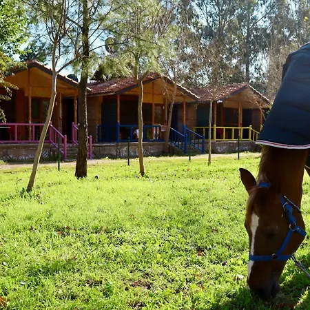 Üdülőközpont Welt Belenbasi