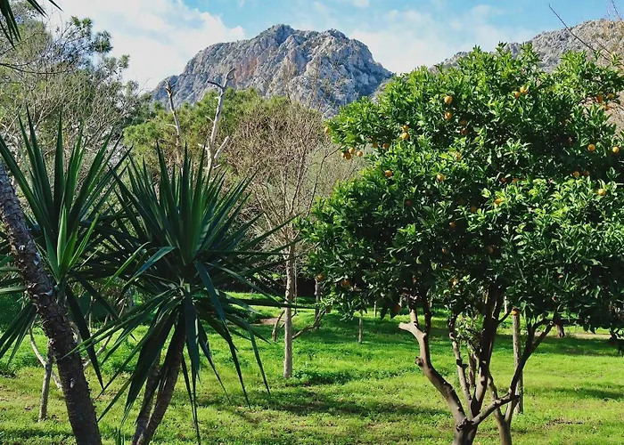 Welt Belenbasi Üdülőközpont *