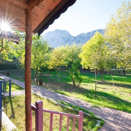 منتجع Welt Belenbasi