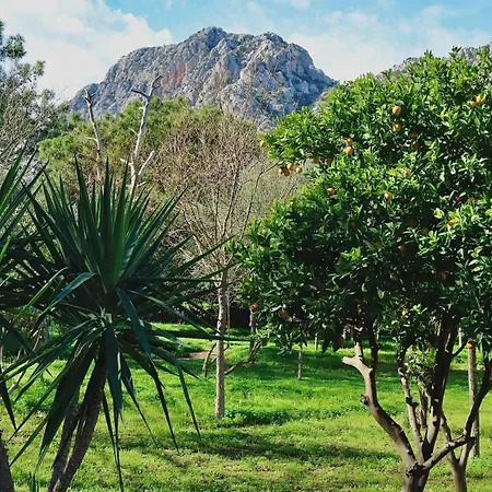 Welt Belenbasi Resort *